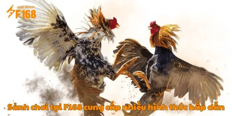 Sảnh chơi tại F168 cung cấp nhiều hình thức hấp dẫn